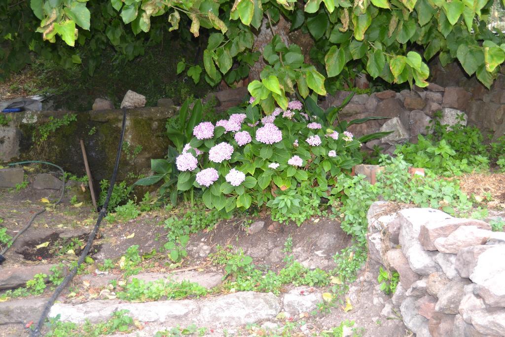 Su Cantaru Guesthouse Villanova Monteleone Exterior foto